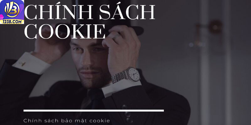 Chính sách bảo mật 123B 8 Cam kết bảo mật Cookie