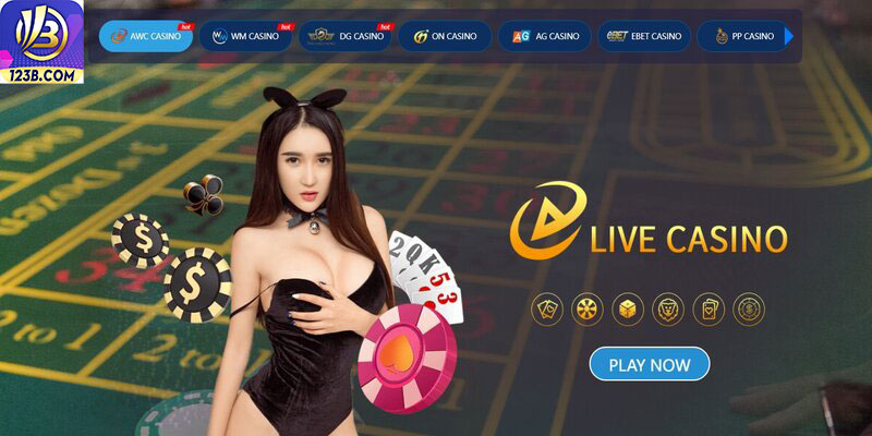 Giới thiệu 123B 7 Hệ thống phần mềm siêu việt