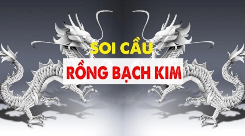 Dàn đề rồng bạch kim | Bí kíp nuôi dàn lô đề hiệu quả cao 7 Soi cầu dàn đề rồng bạch kim cực chuẩn